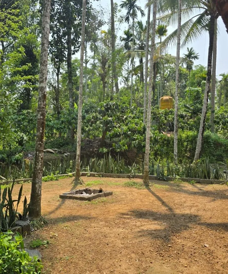 Meenangadi Coffeeisland Vintage Stay בית אירוח