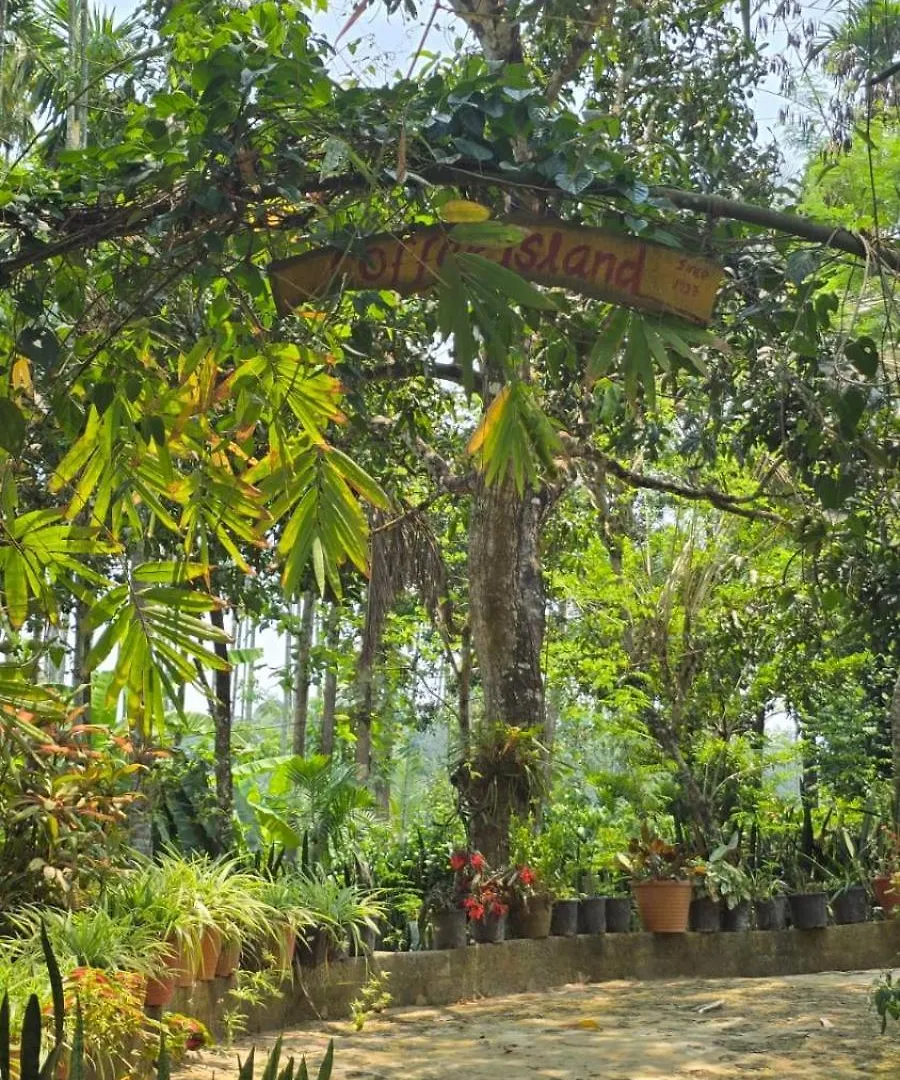 בית אירוח Meenangadi Coffeeisland Vintage Stay