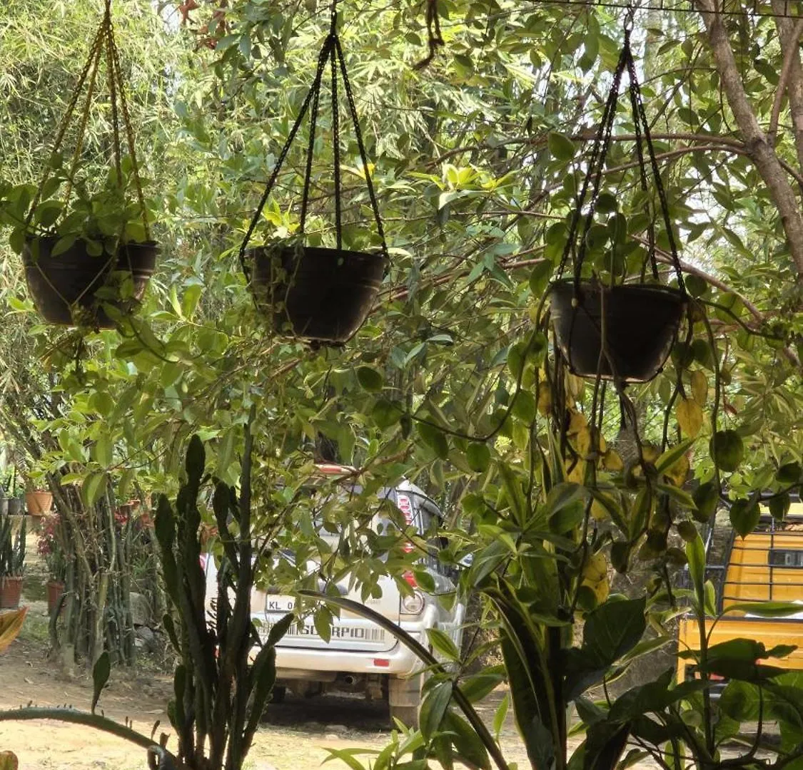 בית אירוח Meenangadi Coffeeisland Vintage Stay הודו